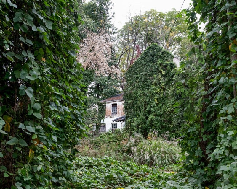 An abandoned, ivy-covered house sits nestled among dense trees and overgrown vegetation.