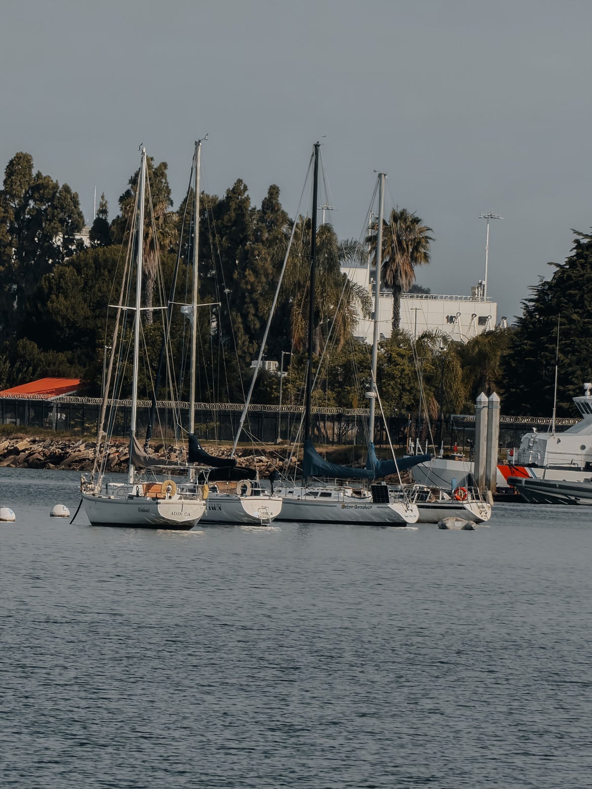 Four sailboats are moored in a calm harbor near a shoreline with trees, a fence, and a white building in the background.