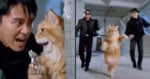 A split-screen image shows a man and a large orange cat holding a handgun on the left, and the same cat running alongside two men in a parking garage on the right.