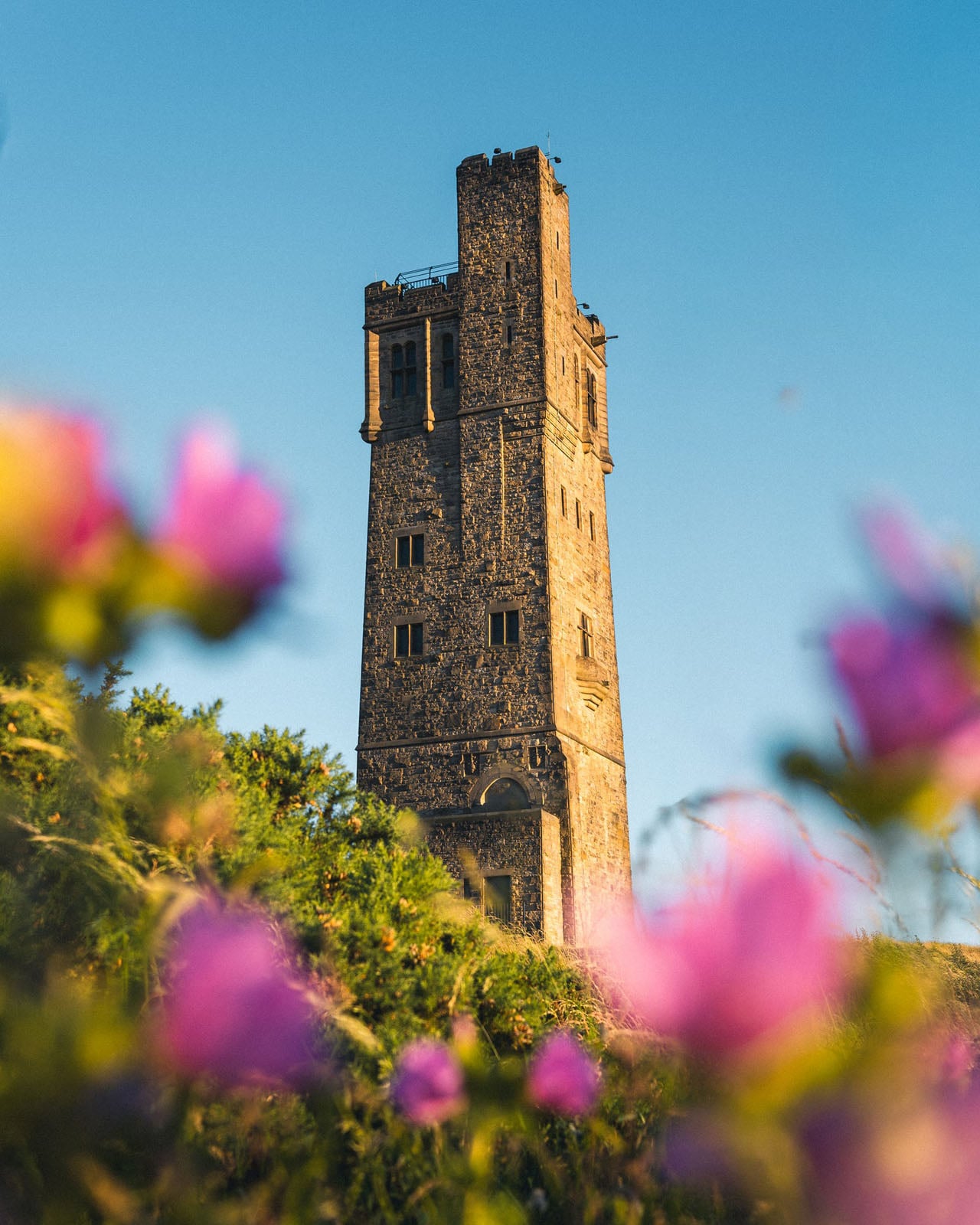 A stone tower stands against a clear blue sky, framed by out-of-focus pink flowers and green foliage in the foreground.