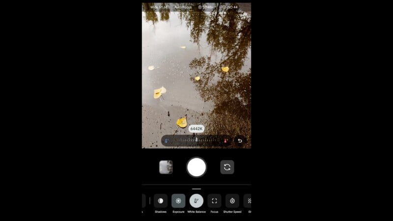 A smartphone camera interface displays a view of yellow autumn leaves floating in a puddle reflecting trees, with manual white balance settings active.