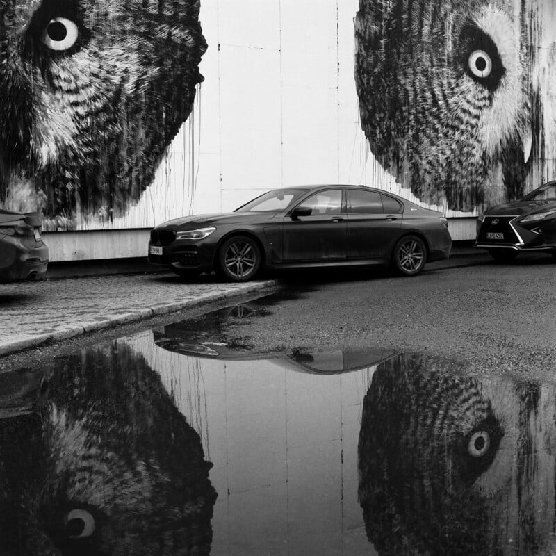A black sedan is parked in front of a wall featuring a large mural of two owl faces, with their reflections visible in a puddle on the ground.