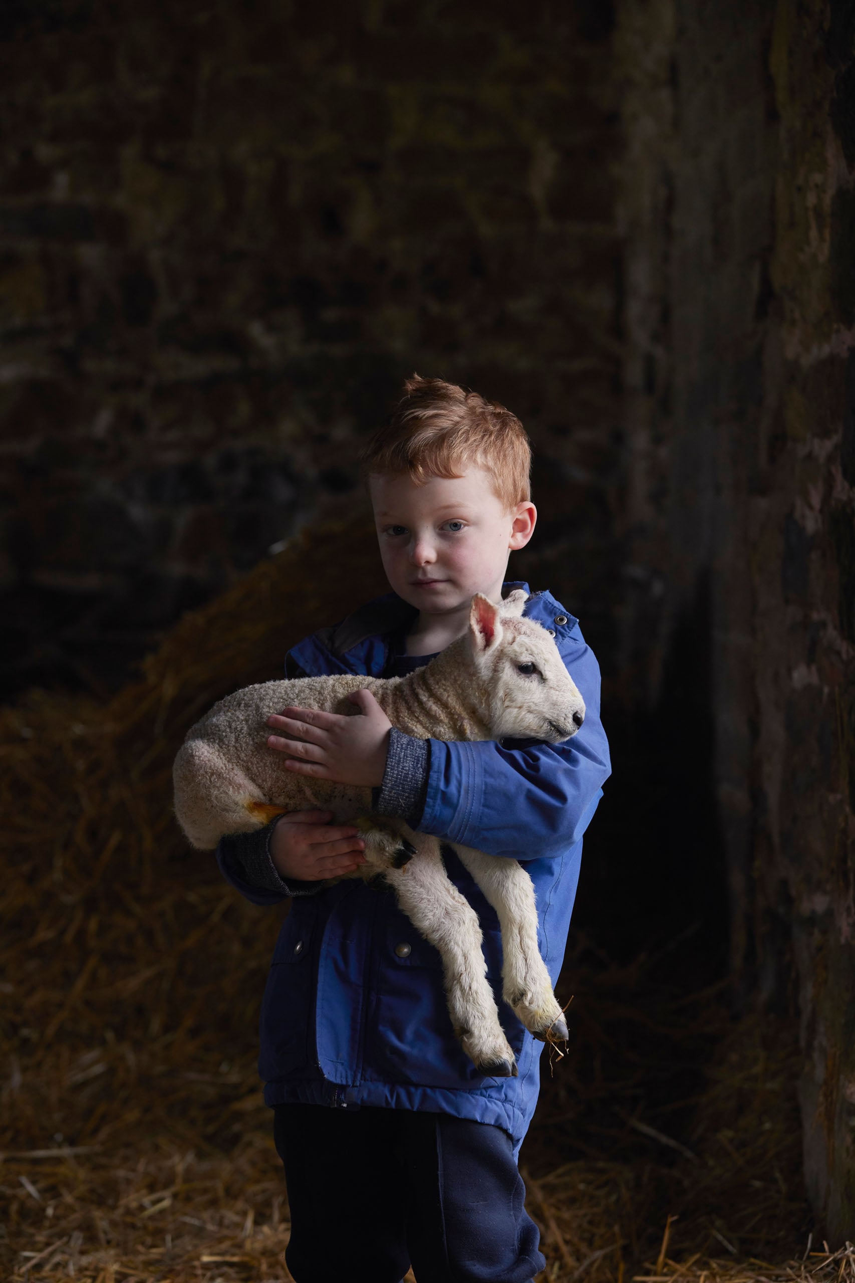 A young boy with red hair wearing a blue jacket holds a small, white lamb in his arms inside a dimly lit barn with straw.