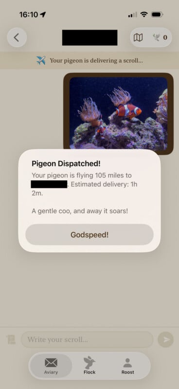 A mobile app interface shows a "Pigeon Dispatched!" notification confirming a message is being sent 105 miles with an estimated delivery time of 1 hour and 2 minutes, overlaid on a photo of two clownfish swimming near an anemone.