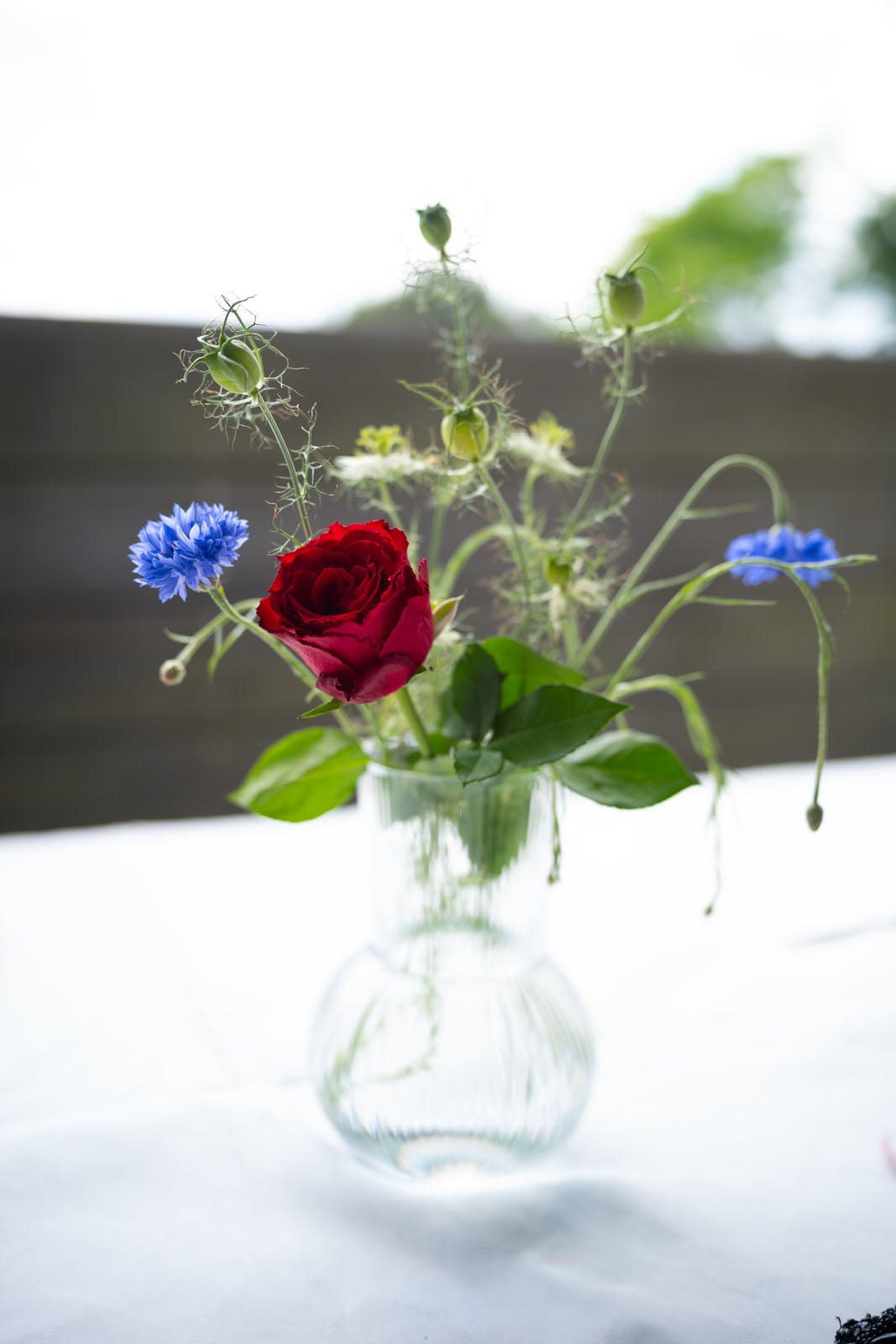 A clear glass vase holds a single red rose, two blue cornflowers, and several green seed pods on a white tablecloth.