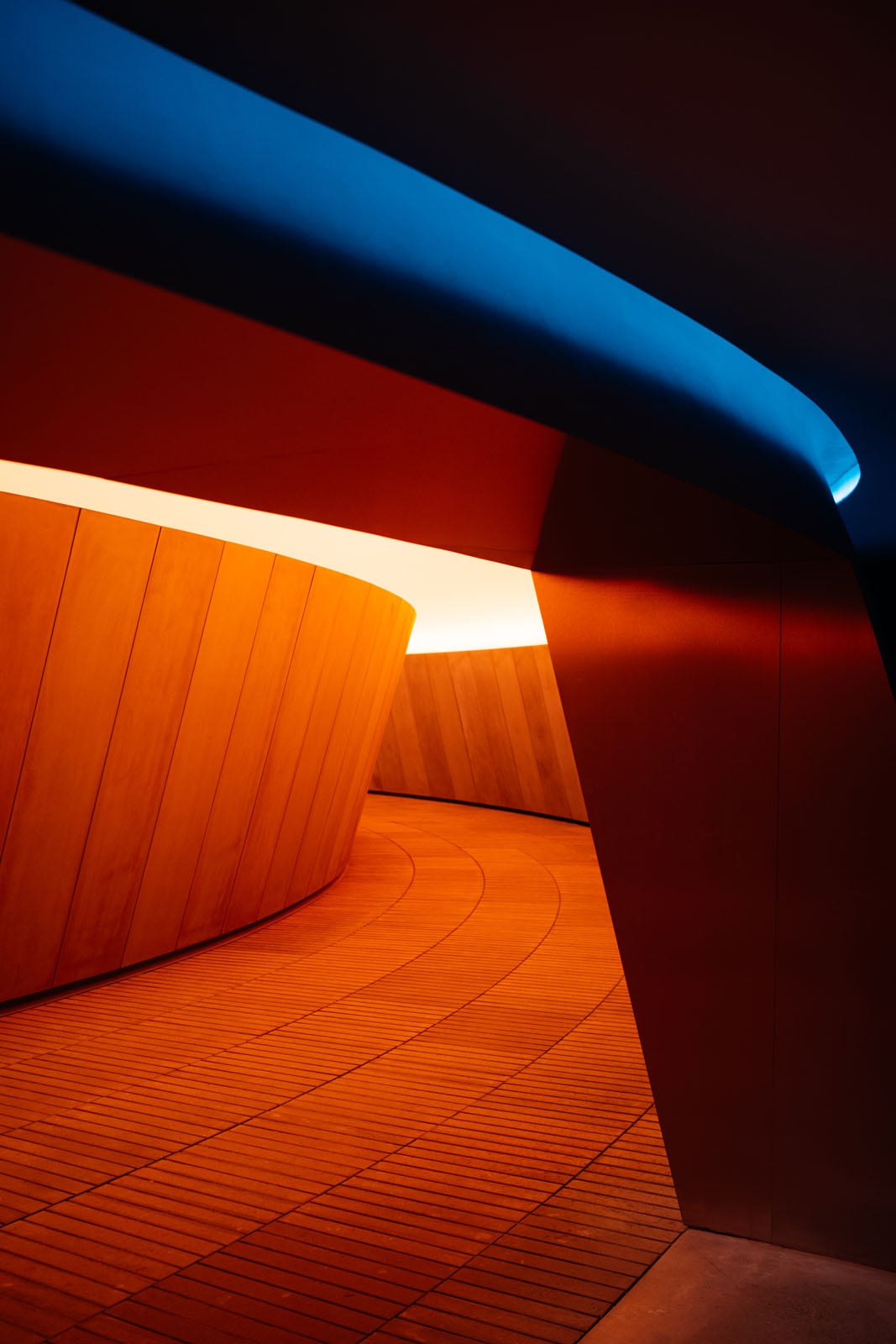 A curved wooden walkway leads into a brightly lit tunnel, framed by dark, angular walls and a blue-lit ceiling.