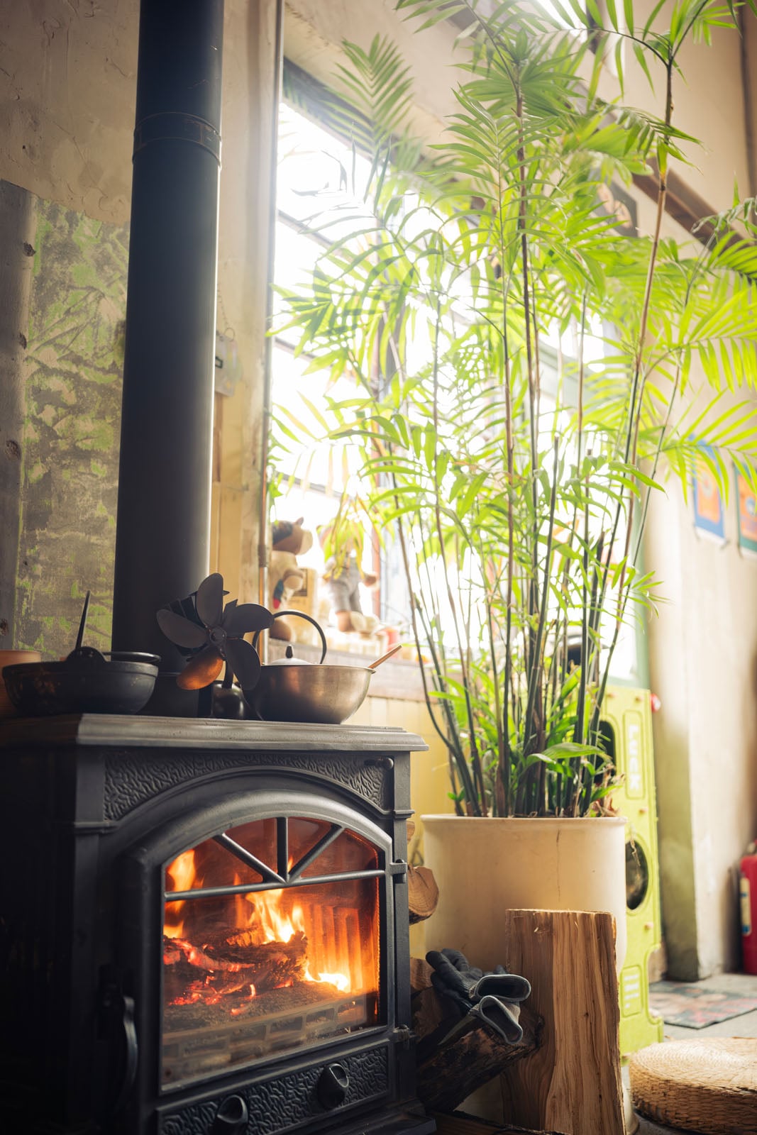 A wood-burning stove with a fire inside sits next to a large potted palm plant in front of a bright window.