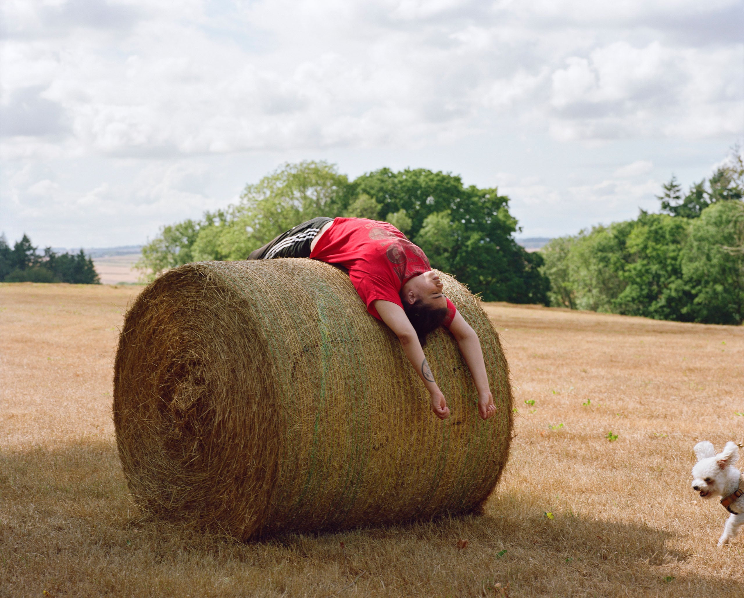 A person in a red t-shirt and black athletic shorts lies arched backward over a large round hay bale in a field, while a small white dog walks nearby.
