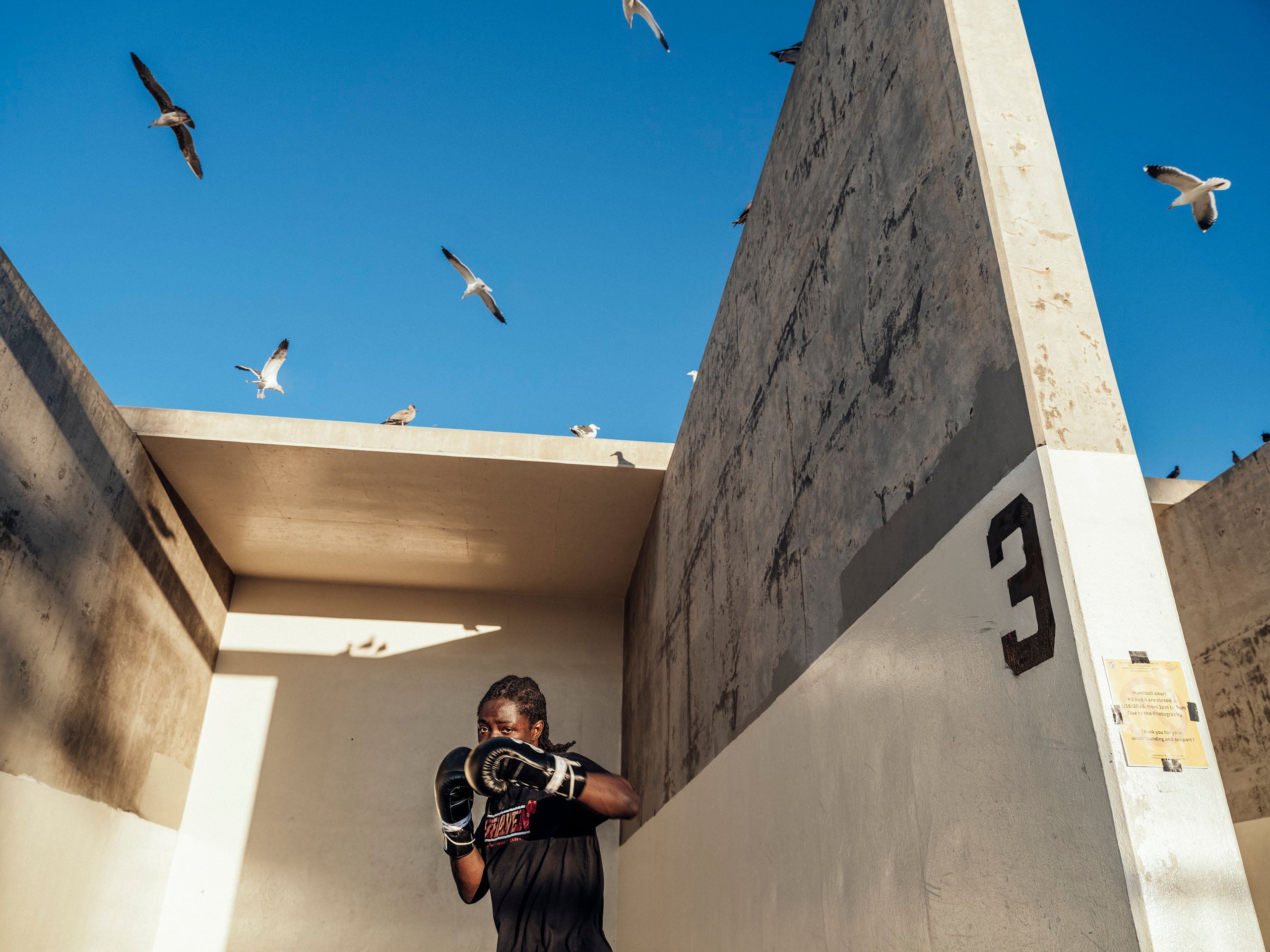 A person wearing boxing gloves stands in a concrete handball court while several seagulls fly overhead against a clear blue sky.