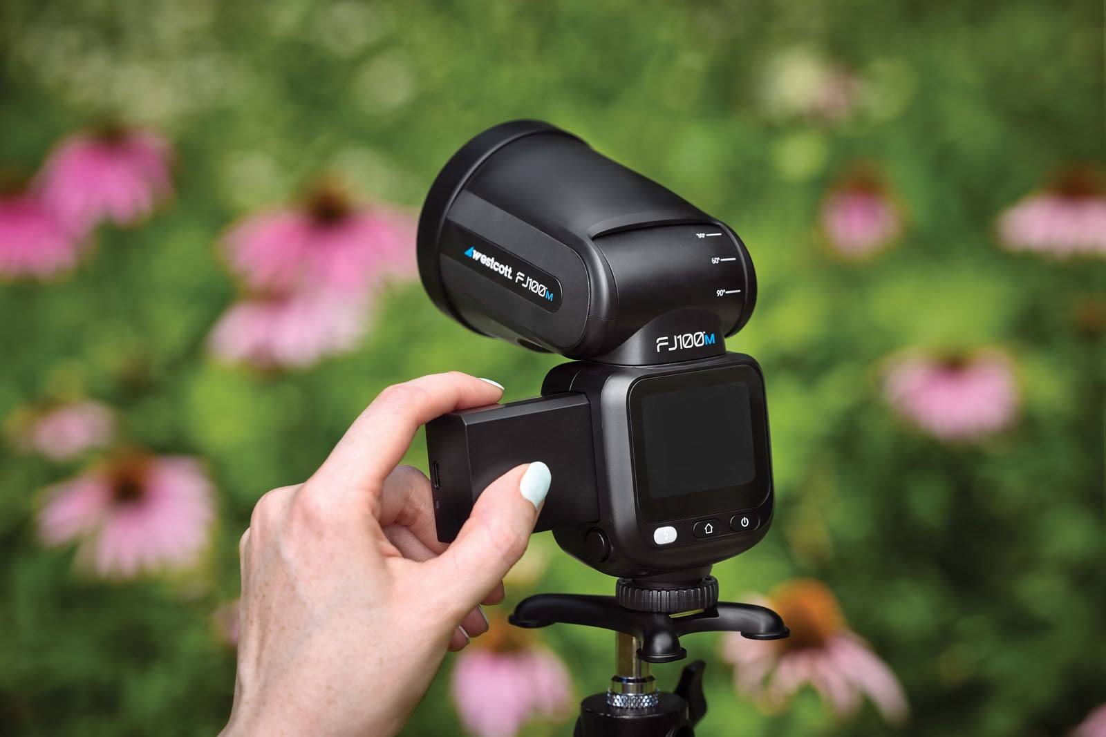 A hand inserts a rectangular battery into the side of a Westcott FJ100M portable flash unit mounted on a tripod against a blurred floral background.