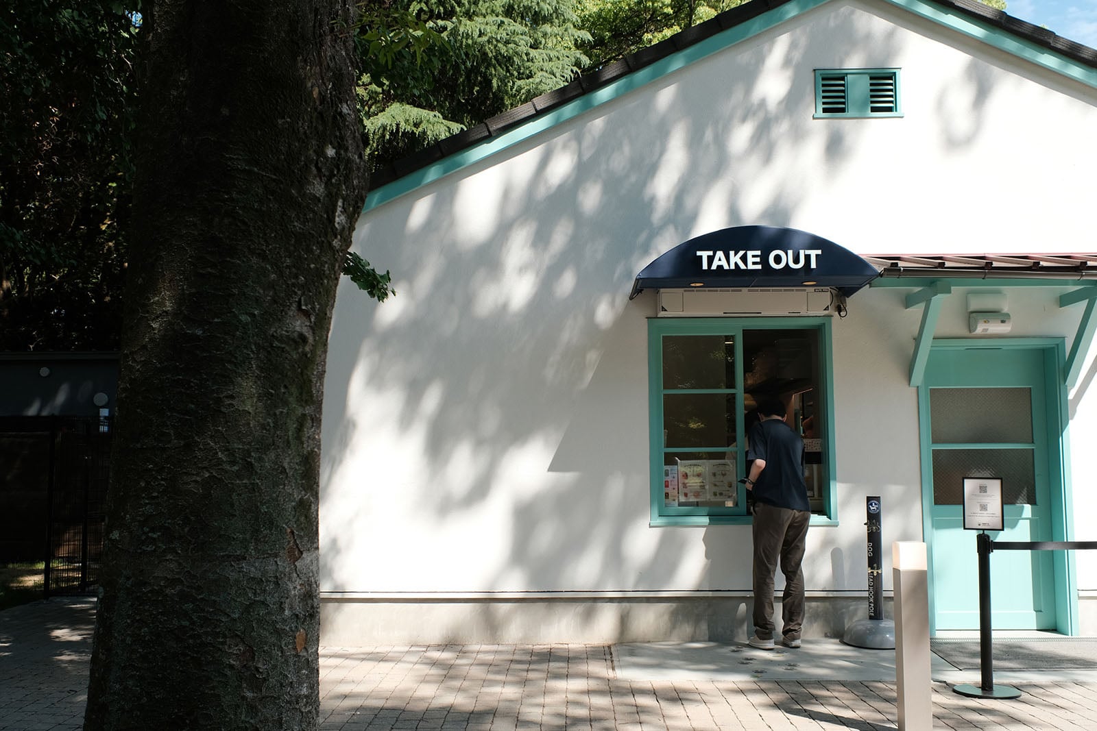 A person stands at a take-out window of a white building with teal trim, located next to a large tree on a paved path.