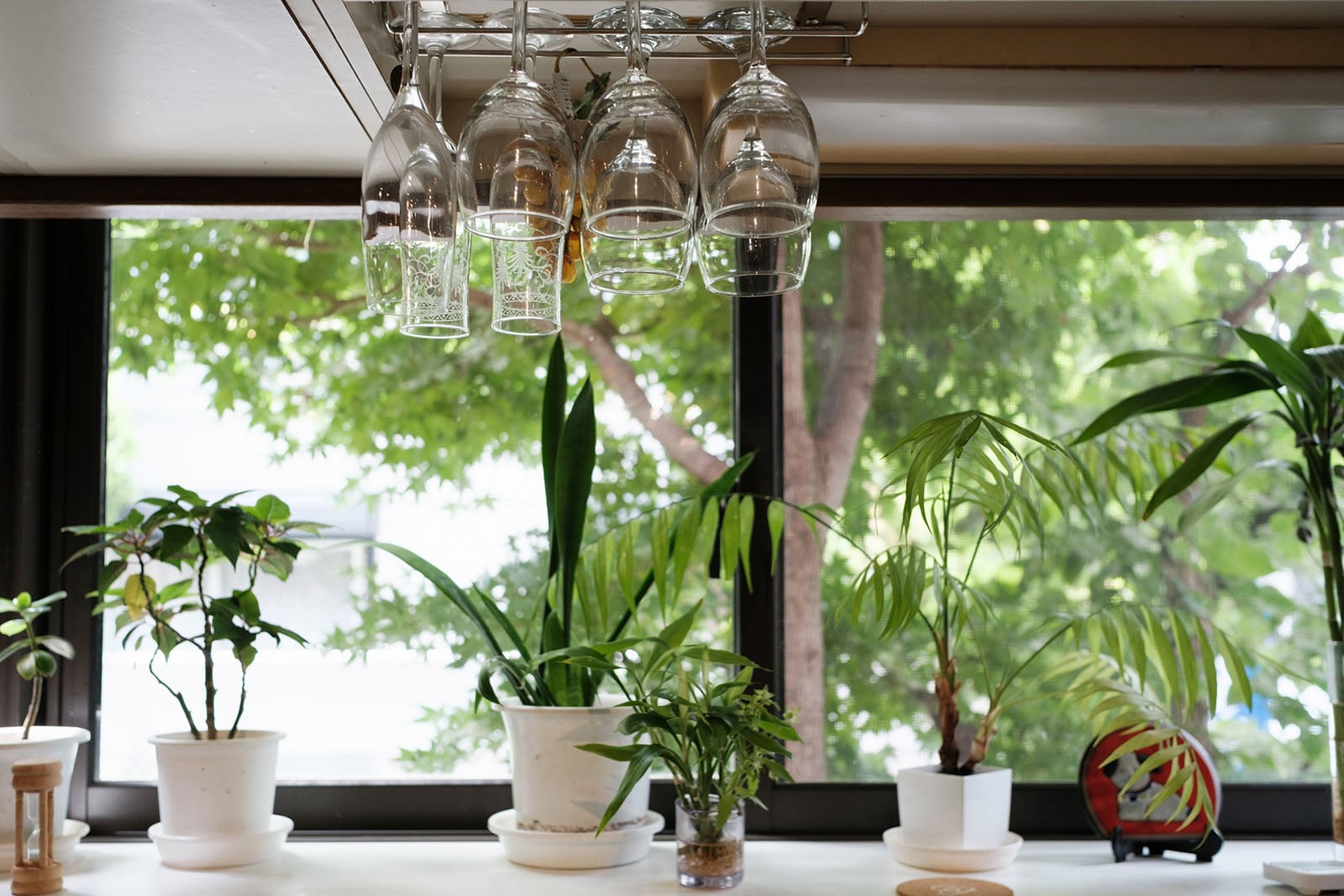 Four wine glasses hang upside down from a rack above a windowsill lined with several potted green plants.