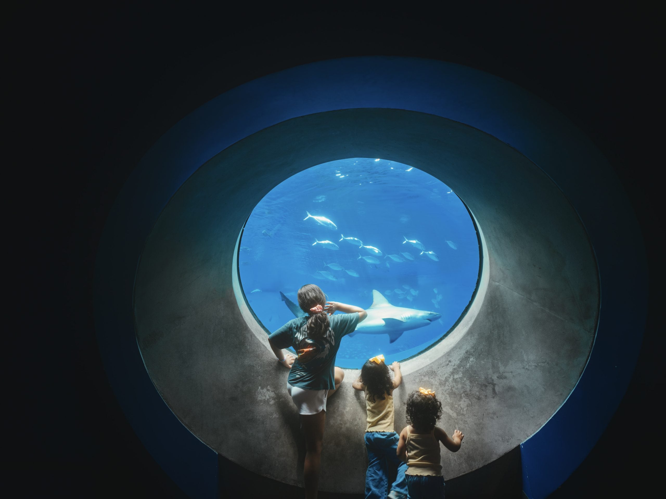 Three children stand before a large, circular aquarium window, watching a shark and several smaller fish swim in the blue water.