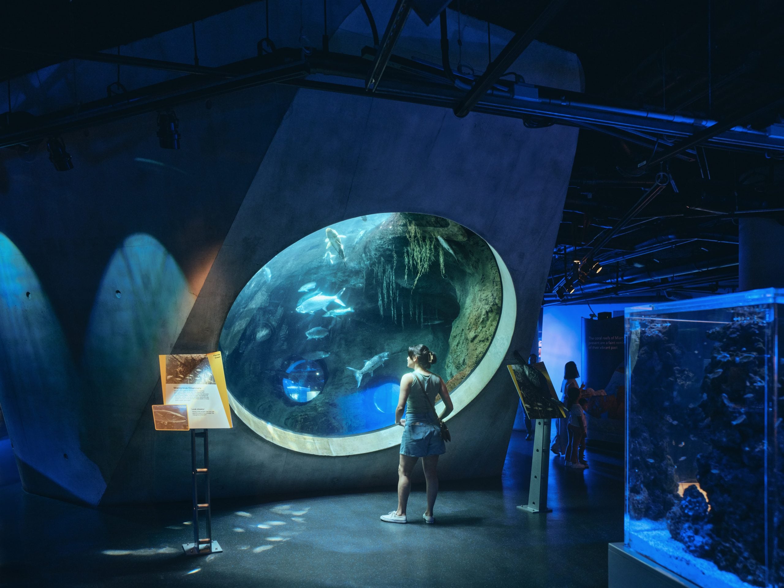 A woman stands in a dimly lit aquarium gallery, looking at a large, oval-shaped tank filled with fish.