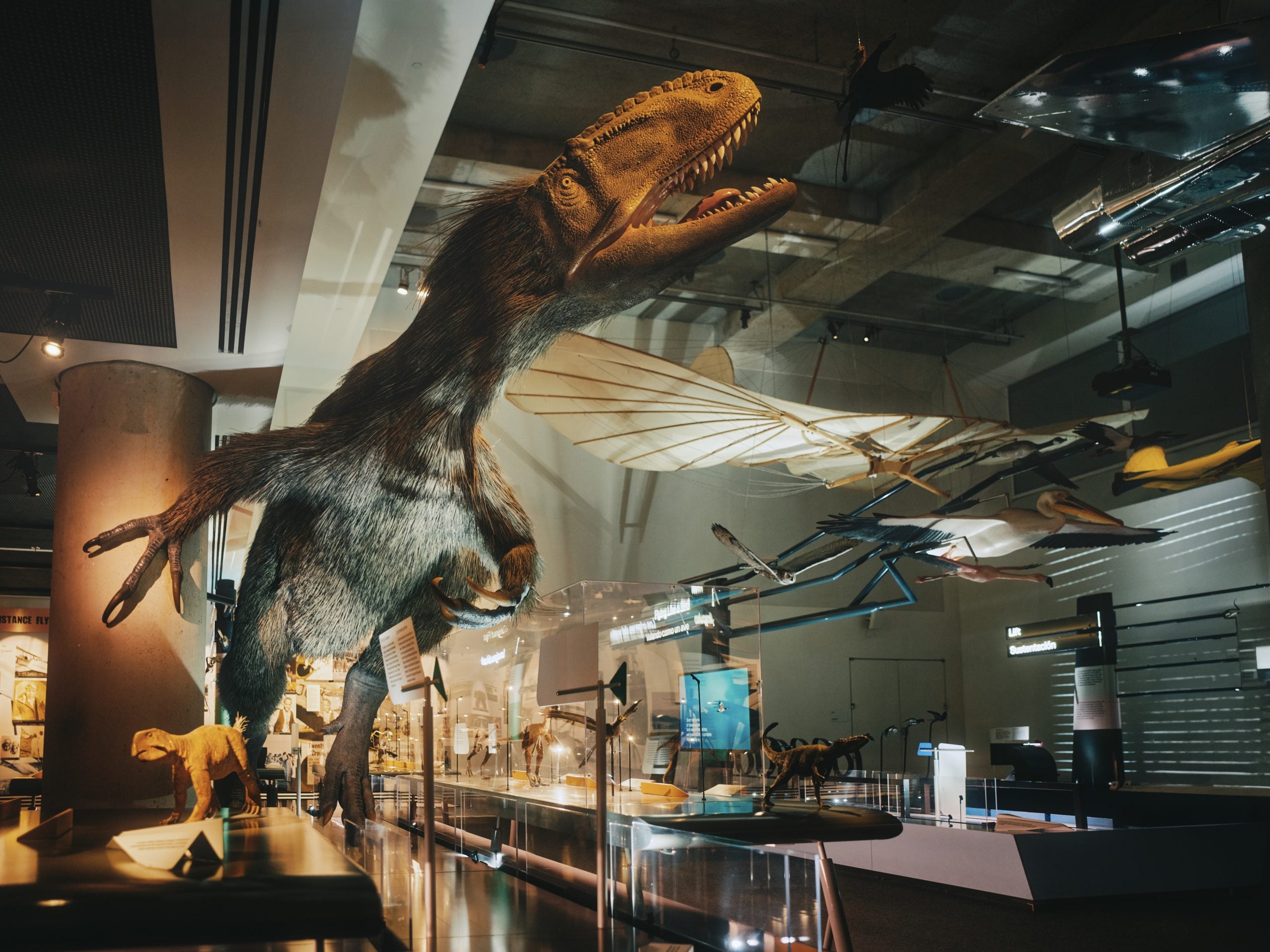 A large, feathered dinosaur model stands in a museum exhibit, with various flying machines and bird models suspended from the ceiling above.