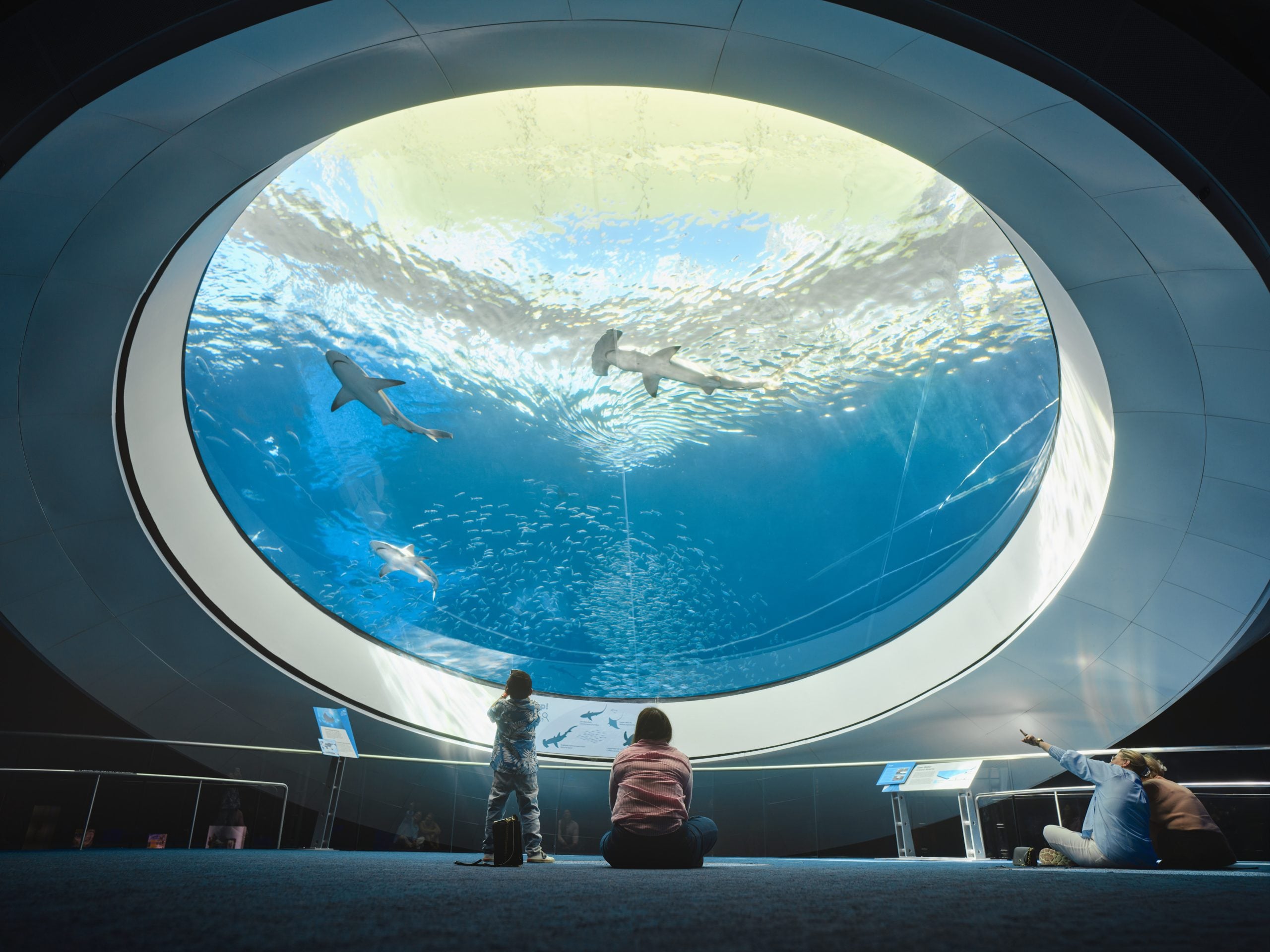 Three people sit on a carpeted floor looking up at a large, circular aquarium window filled with sharks and a school of fish.
