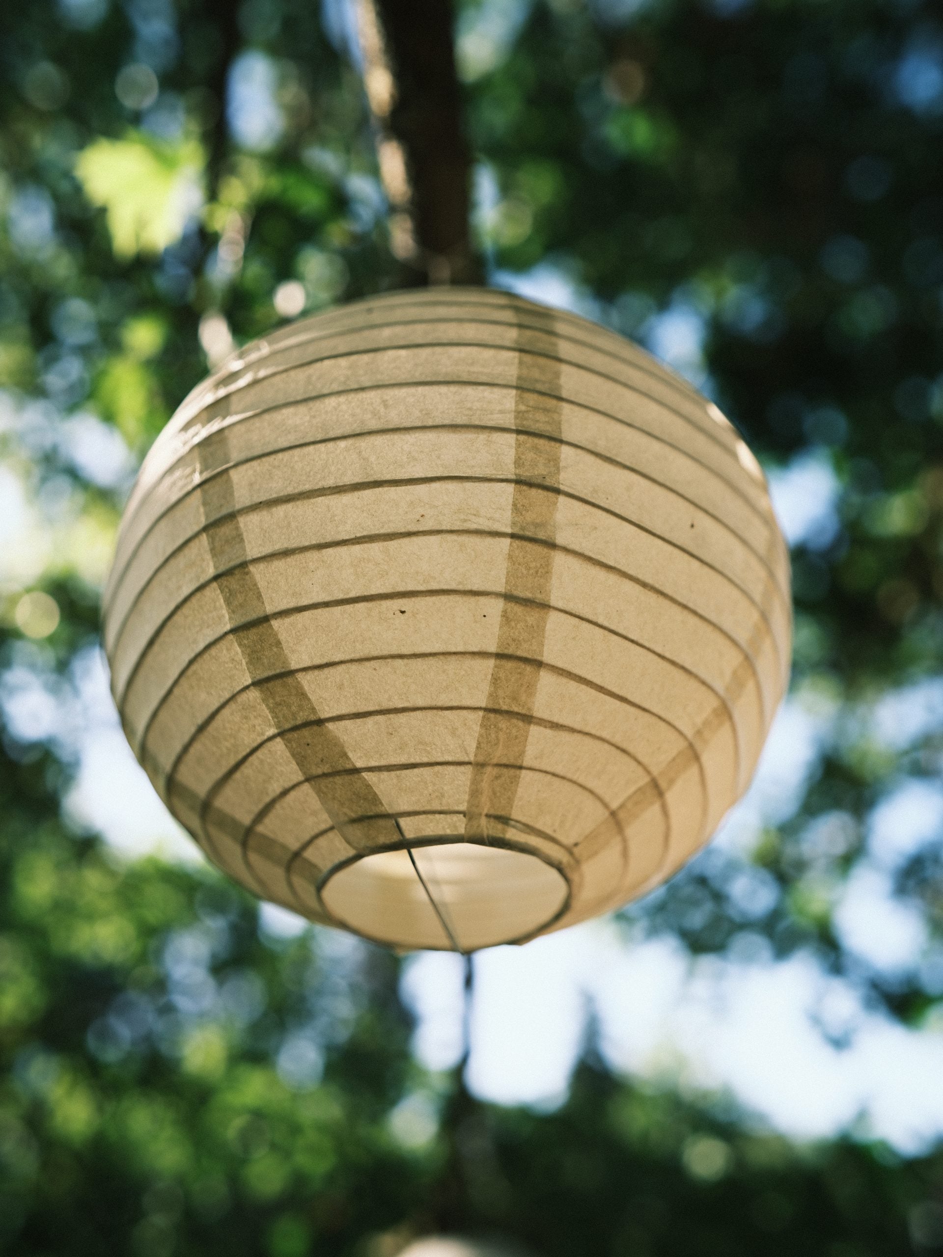 A round, beige paper lantern hangs suspended against a blurred background of green tree leaves and sunlight.