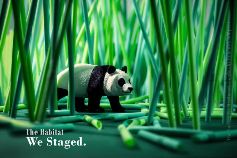 A toy panda stands among green plastic drinking straws arranged to resemble bamboo, with the text "The Habitat We Staged." in the corner.
