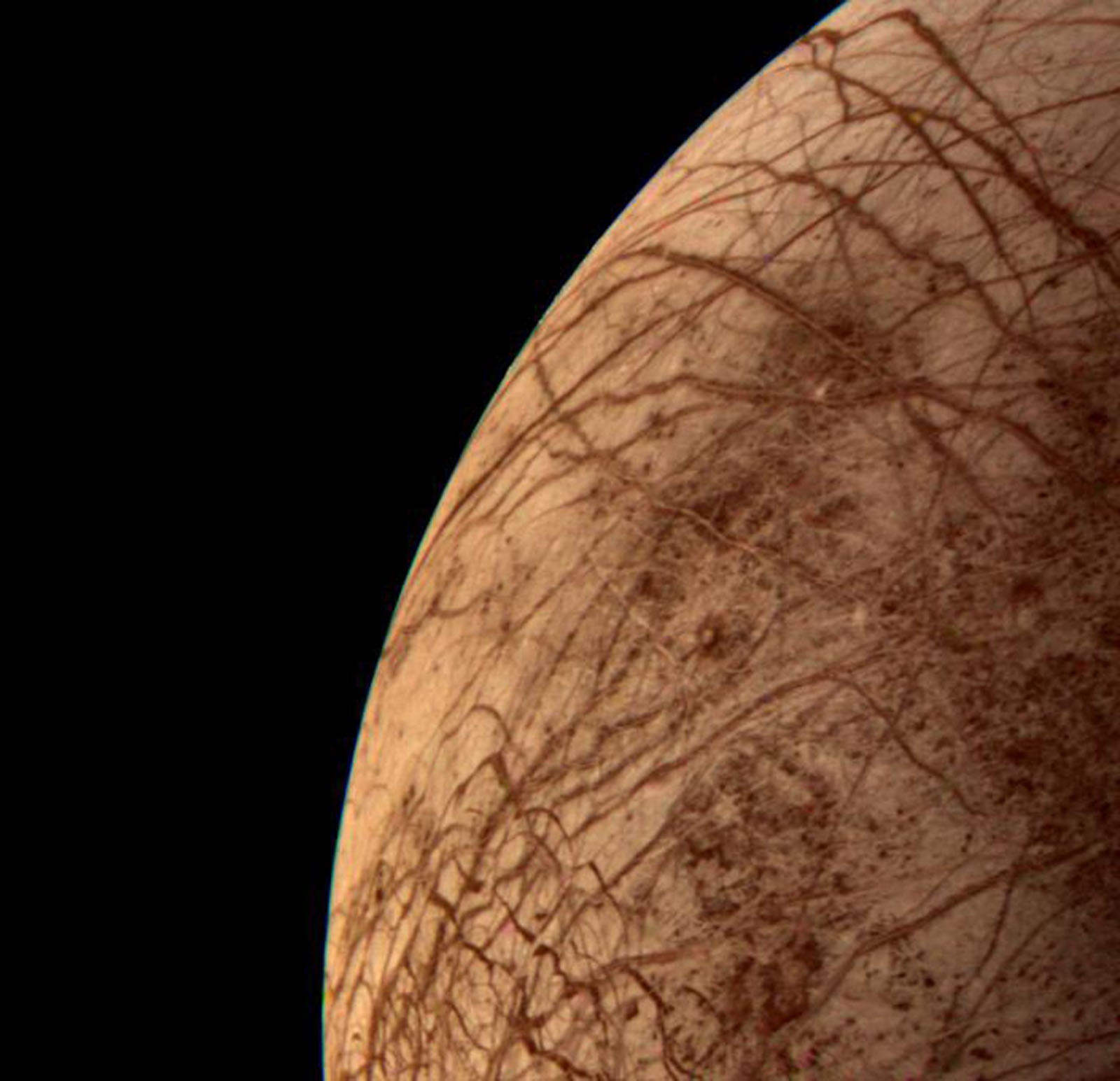 A close-up view of the curved edge of a celestial body, featuring a light-colored surface covered in a network of dark, intersecting fractures against a black background.