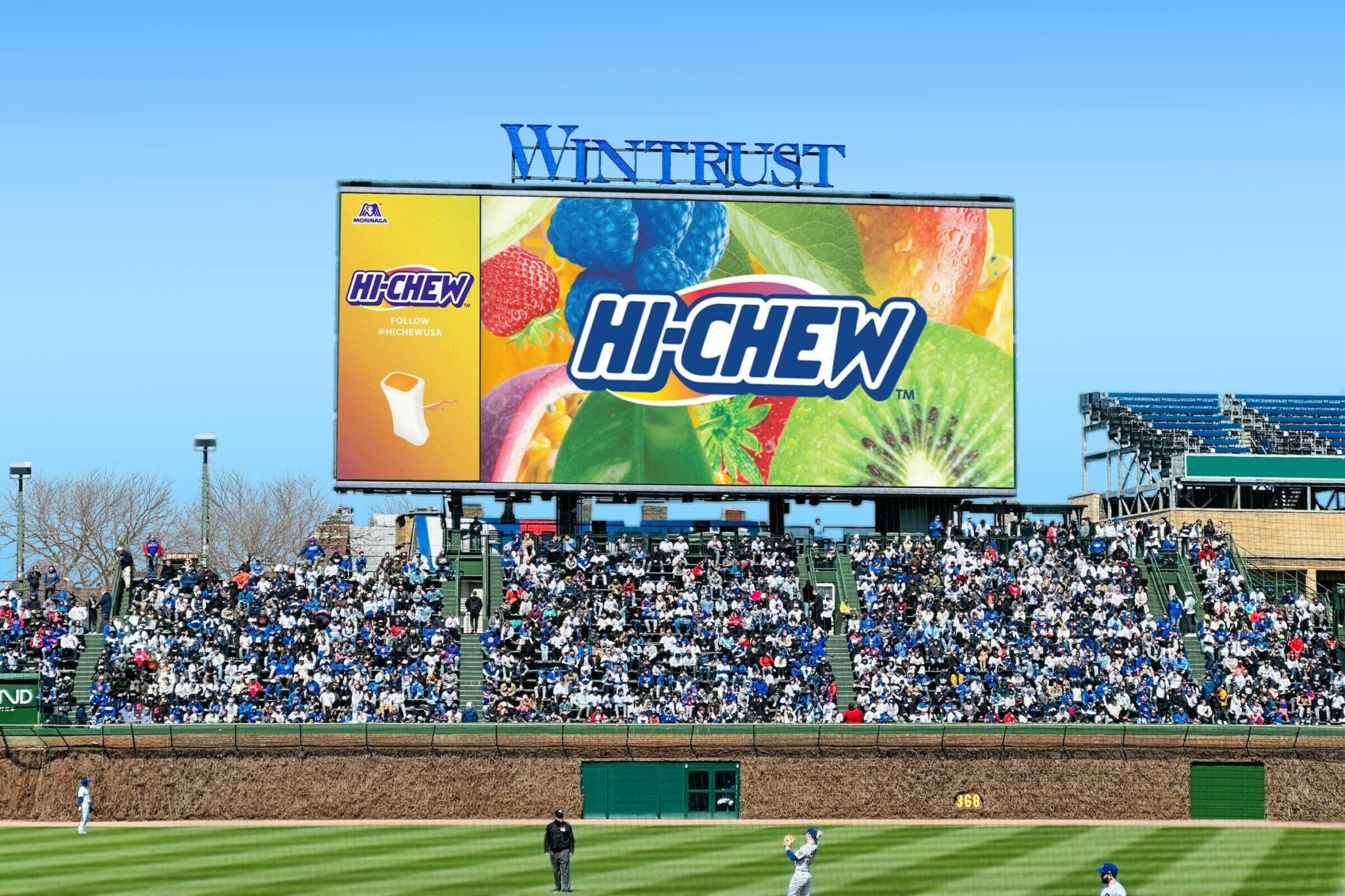 cubs-2048x1365