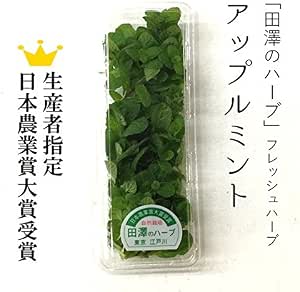【蘋果薄荷】 新鮮香草 生20g 生產者指定 田澤之香草 築地直送 獲得日本農業獎大獎!【蘋果薄荷】食用香草