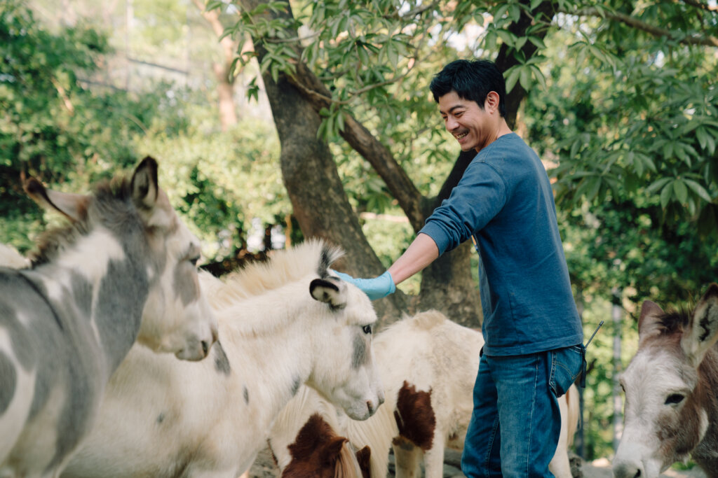 2026春節必看追劇指南：從《動物園》到《凶宅專賣店》，8部Disney+華語強檔一次備齊全家口味