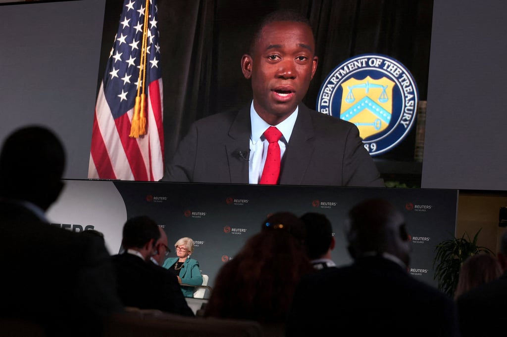 Wally Adeyemo, US Treasury Deputy Secretary, speaks at an event in New York via video link in November 2023. Photo: Reuters