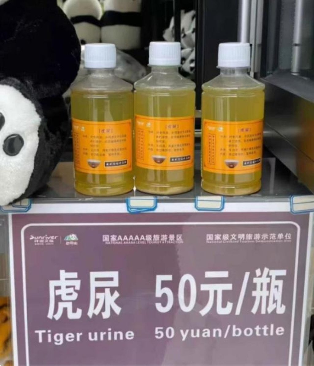 The zoo claims the animal’s urine can treat a range of common ailments. Photo: 163.com