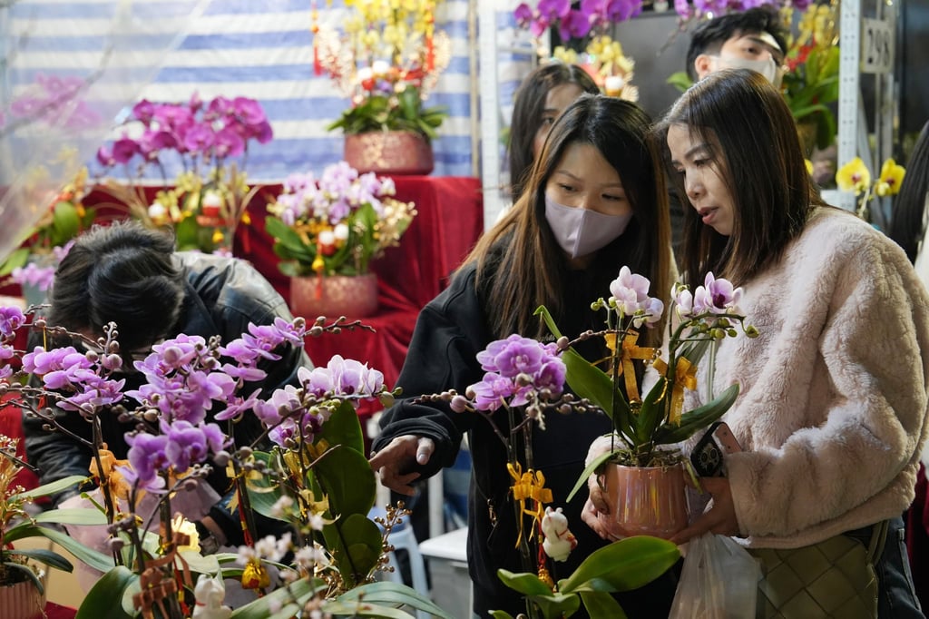 Residents flocked to the fair on Tuesday. Photo: Sun Yeung