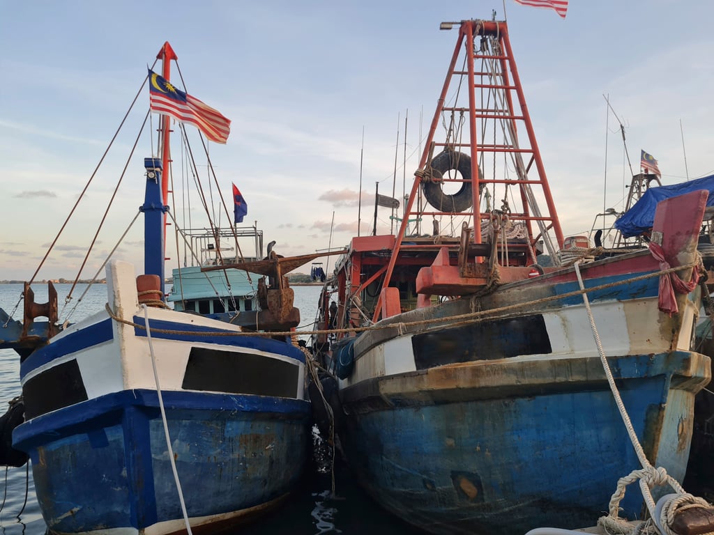 Vietnamese-owned fishing vessels that are registered to a Malaysian company are seen docked at a Malaysian port in this undated handout photograph. Photo: Panthera/Sunway University via AP