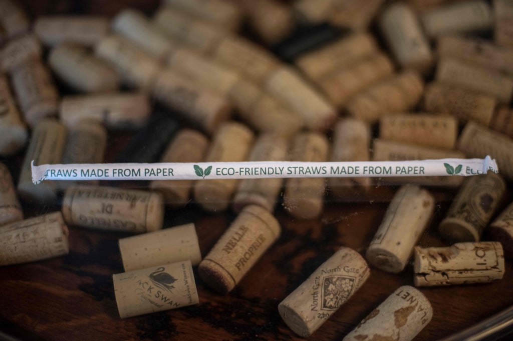 An eco-friendly paper straw. Photo: AFP