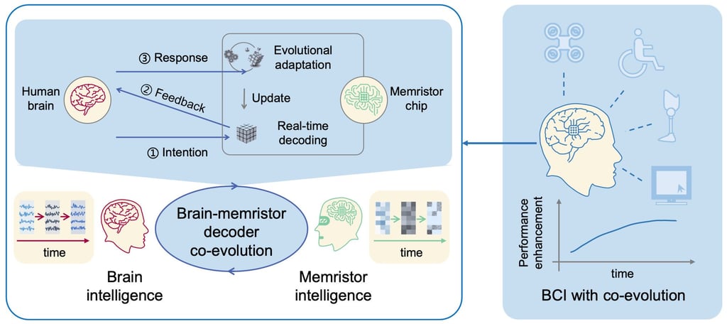 A schematic of the brain computer interface with the brain-memristor decoder co-evolution. Illustration: Nature