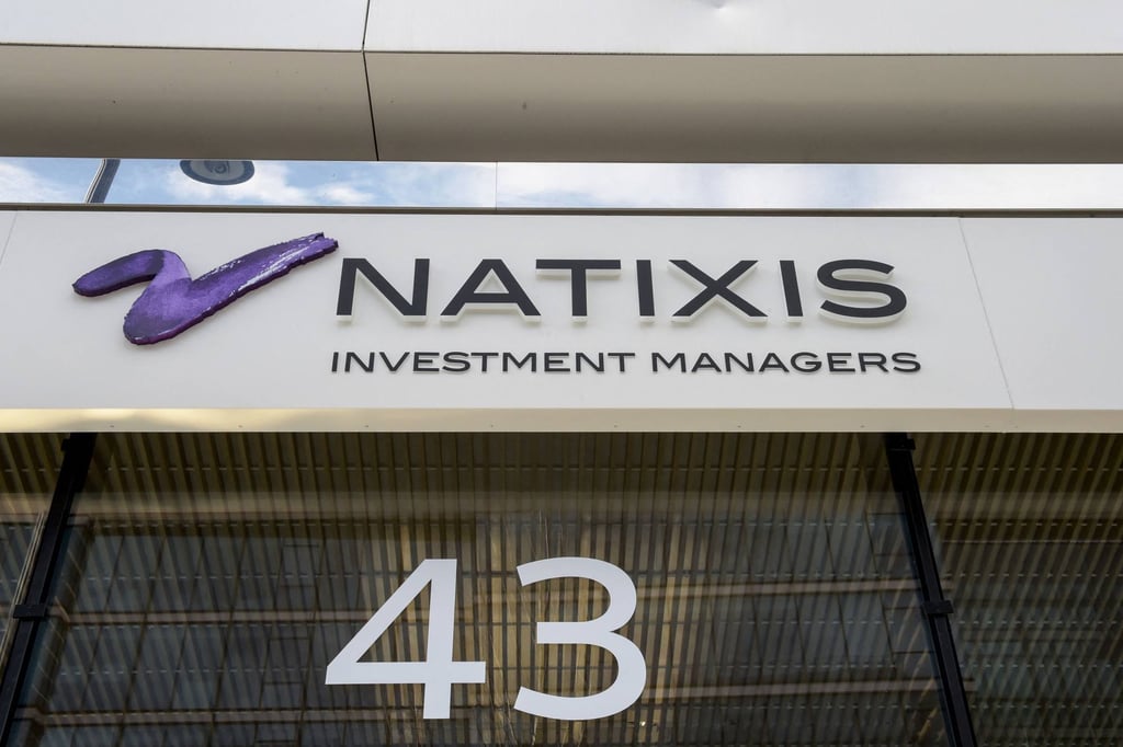 French investment bank Natixis expects foreign carmakers’ fortunes to shrink in China. Photo: AFP
