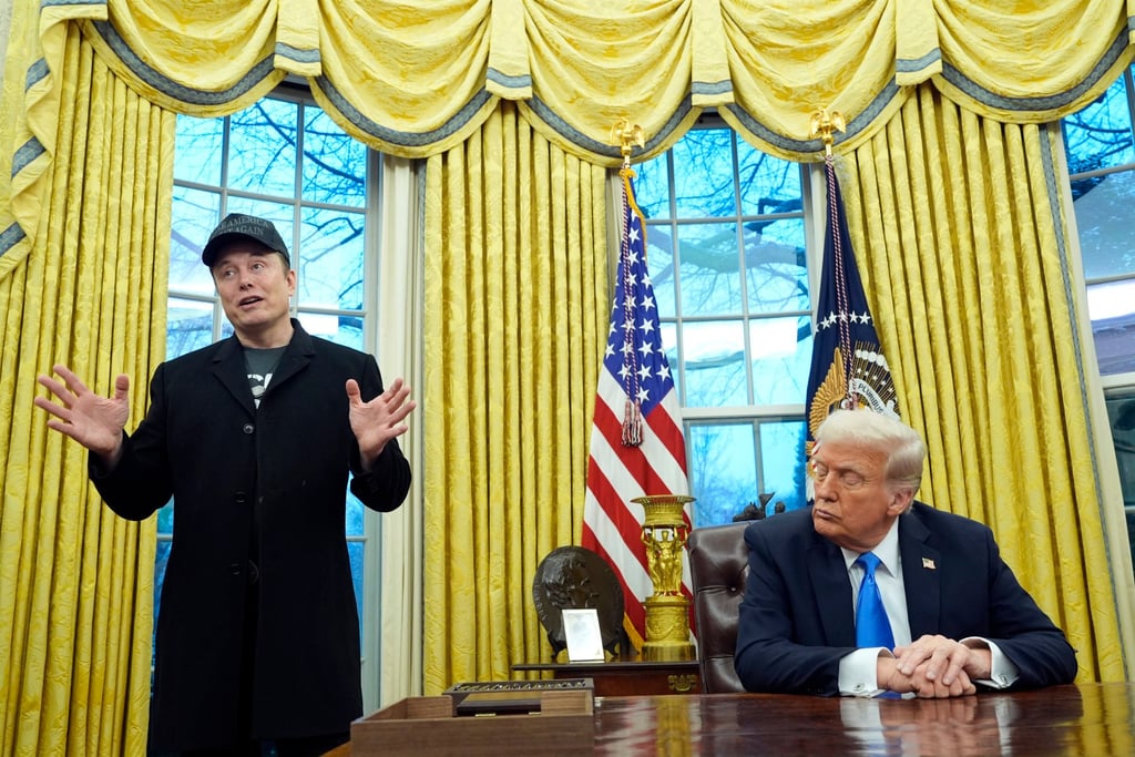 Elon Musk and President Donald Trump in the Oval Office. Photo: AP
