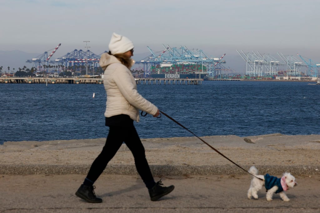 A woman walks her dog near a ship with Evergreen cargo containers at the Port of Los Angeles in Long Beach, California, on February 3. Photo: EPA-EFE