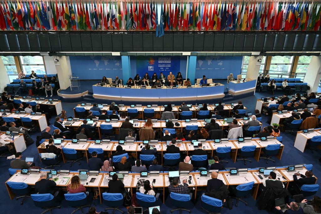 Delegates in Rome this week. Photo: AFP