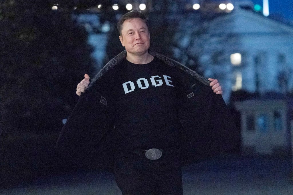 Elon Musk has been leading a cost-cutting programme of the US government. Photo: AP