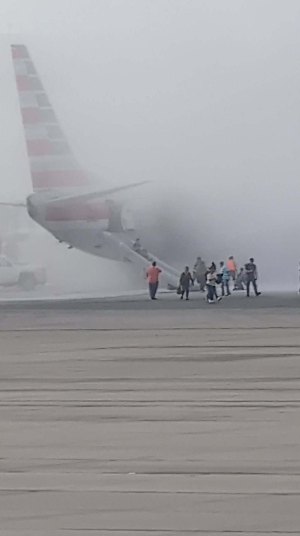 Passengers using emergency slides. Photo: Aaron Clark via Reuters