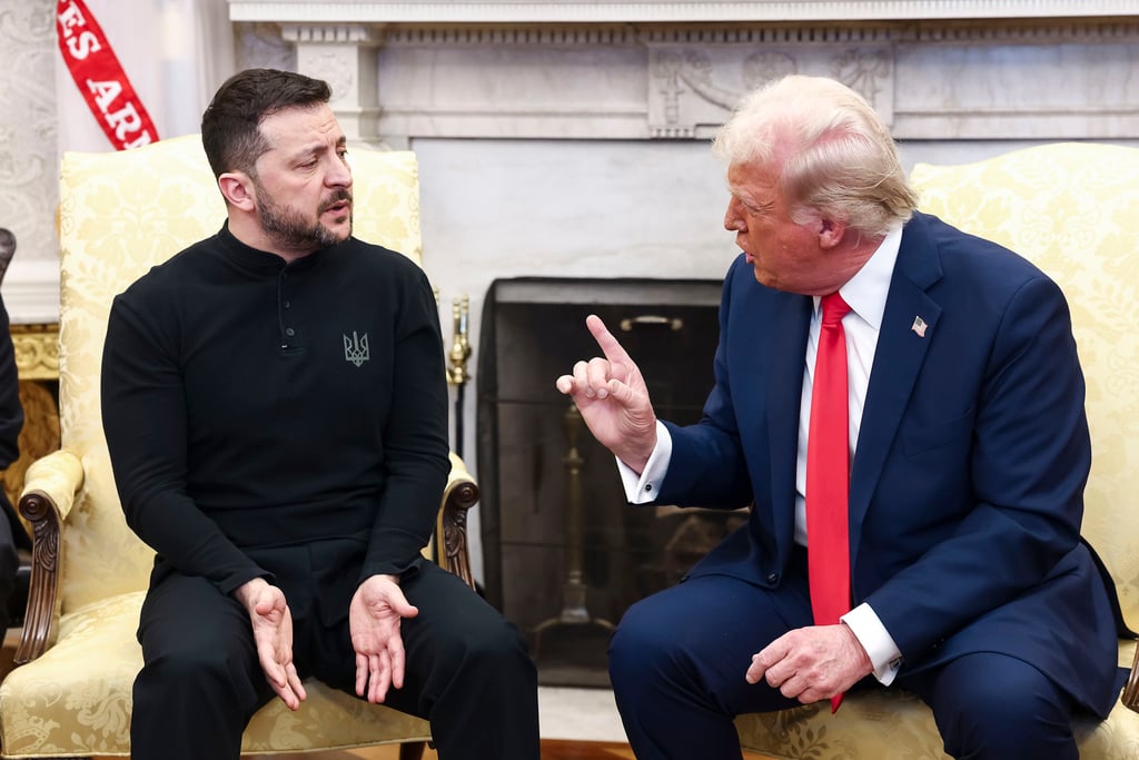 Ukrainian President Volodymyr Zelensky with US President Donald Trump in Washington on February 28. Photo: via TNS
