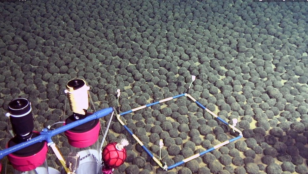 A dense deposit of manganese nodules is pictured on the sea floor in the Pacific Ocean within Japan’s exclusive economic zone. Photo: AFP