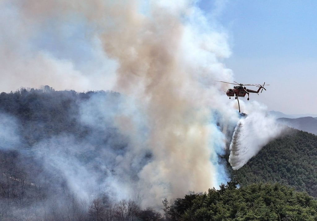A Korea Forest Service helicopter attempts to extinguish a forest fire in Uiseong, South Korea’s Gyeongbuk province, on Sunday. Photo: Yonhap/AFP
