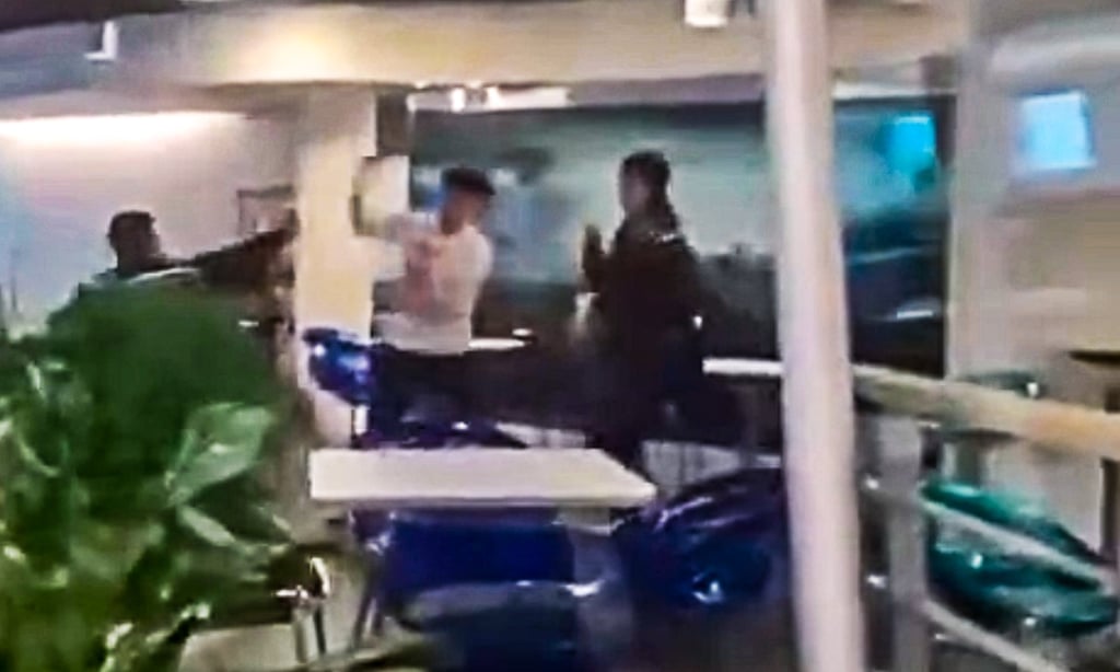 A screengrab shows the suspect fighting two police officers on campus. Photo: Handout