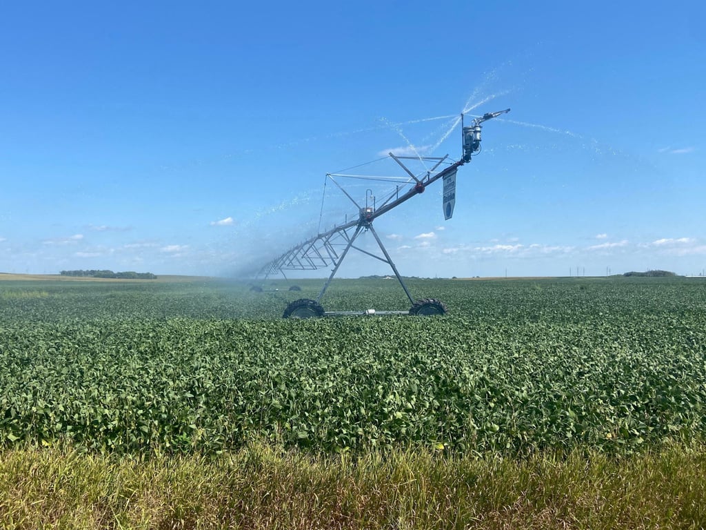 Soybeans are irrigated on a farm in Nebraska, the United States. Thailand has said it would try to increase imports of agricultural products from the US. Photo: Reuters