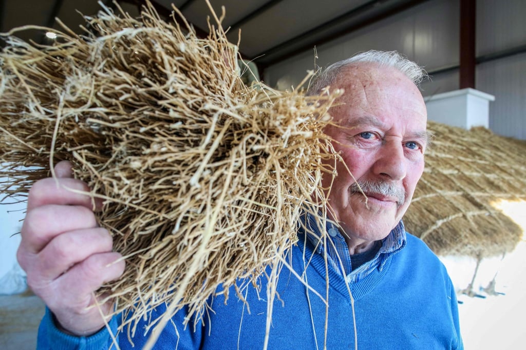 Brian Lafferty is one of Ireland’s last master thatchers. Photo: AFP