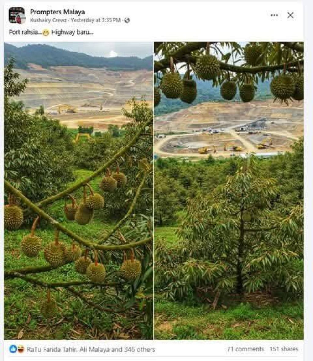 An AI-generated image of durian fruit growing on a tree surrounded by deep forest and a clearing is shared in the Prompters Malaya Facebook group. Photo: Facebook