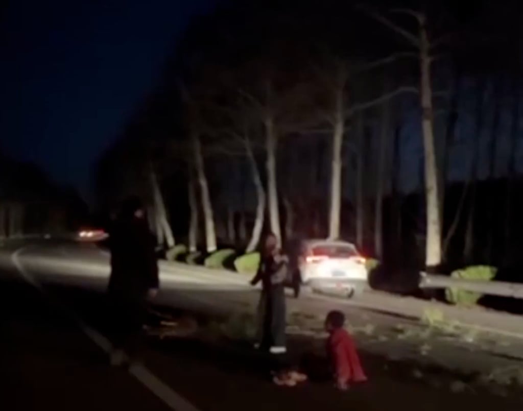The road on which the elderly woman was injured was covered with twigs in the aftermath of the incident. Photo: Weibo/The Paper