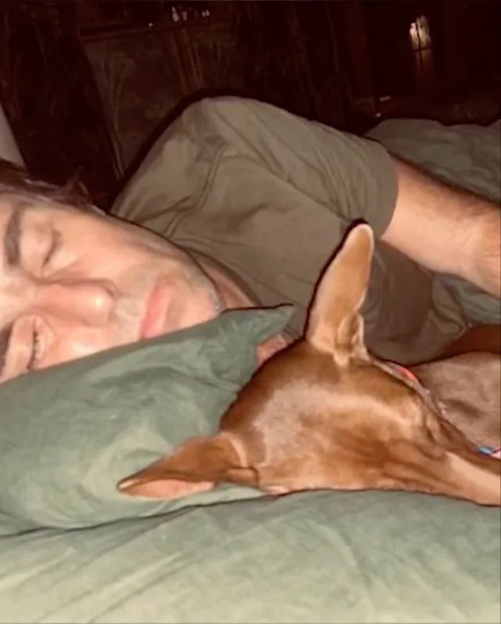 Liam Gallagher adopted a rescue dog named Buttons. Photo: Instagram/ niall.harbison