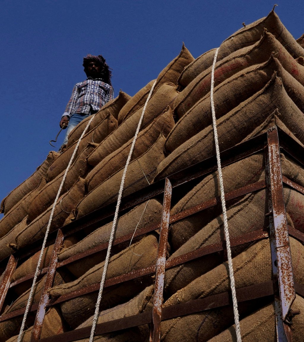 A labourer loads sacks of rice onto a supply truck in a grain market in Karnal, India. Photo: Reuters