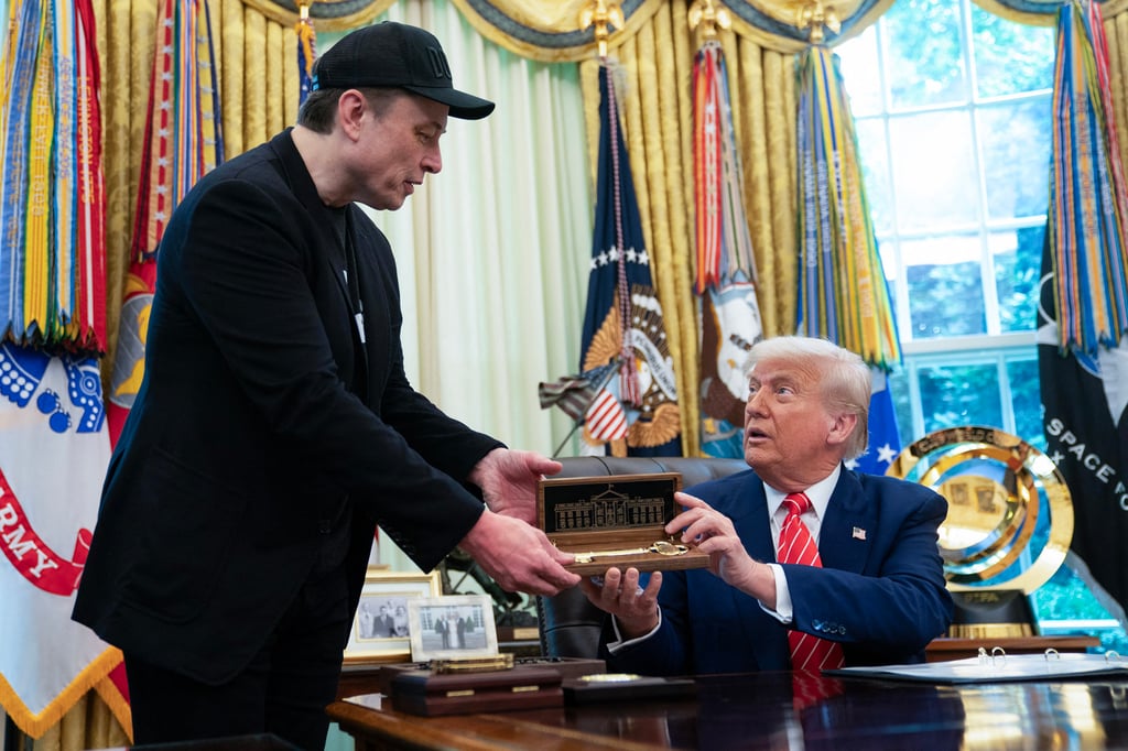 Elon Musk (left) made his exit from Washington last month. Photo: TNS