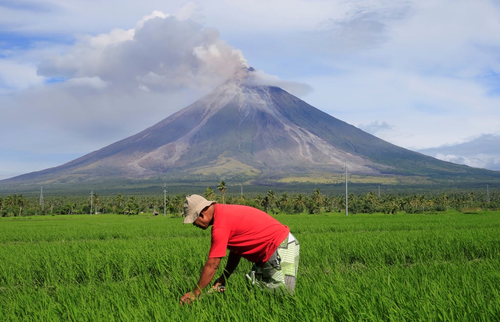 A farmer works on a rice farm in Daraga, Albay province, in the Philippines. A new report has slammed decades of government under-investment in agriculture. Photo: Reuters